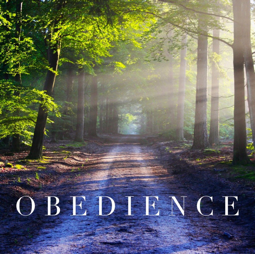“Believers” are in for a rude awakening. 

Spiritual maturity isn't measured by how high you jump in praise but how straight you walk in obedience.
#bikerpastor #pastorcato #mystyle #EndlessJourney #BeBlessed #savednotsoft