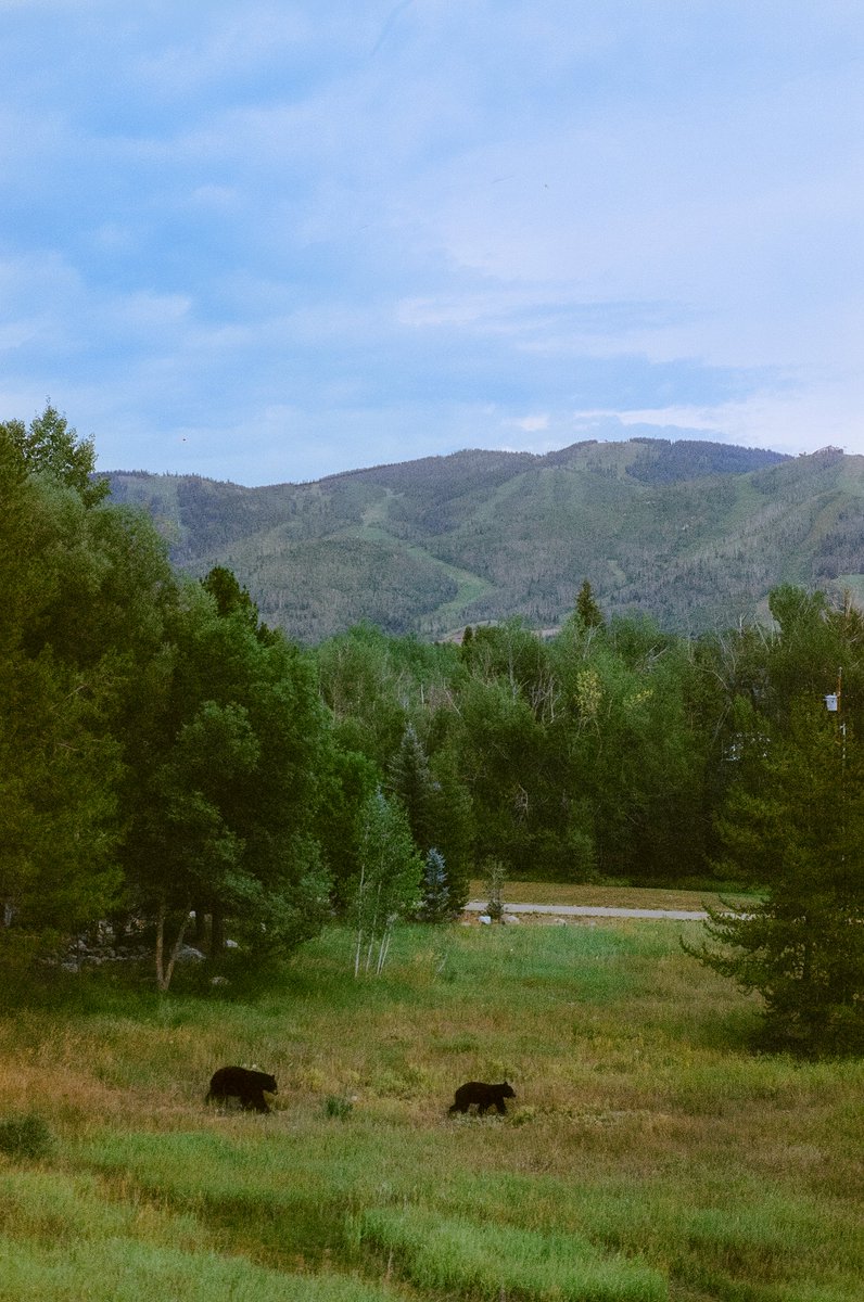 AlexKittoe's tweet photo. Photos I took on the side of the road https://t.co/hqWLu9mn9Q