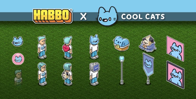 Cool Cats on Twitter: 