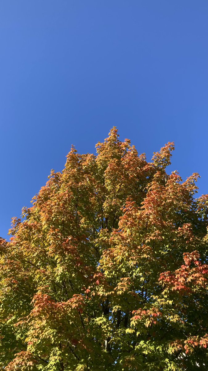 Alexandra Hoff tweet media