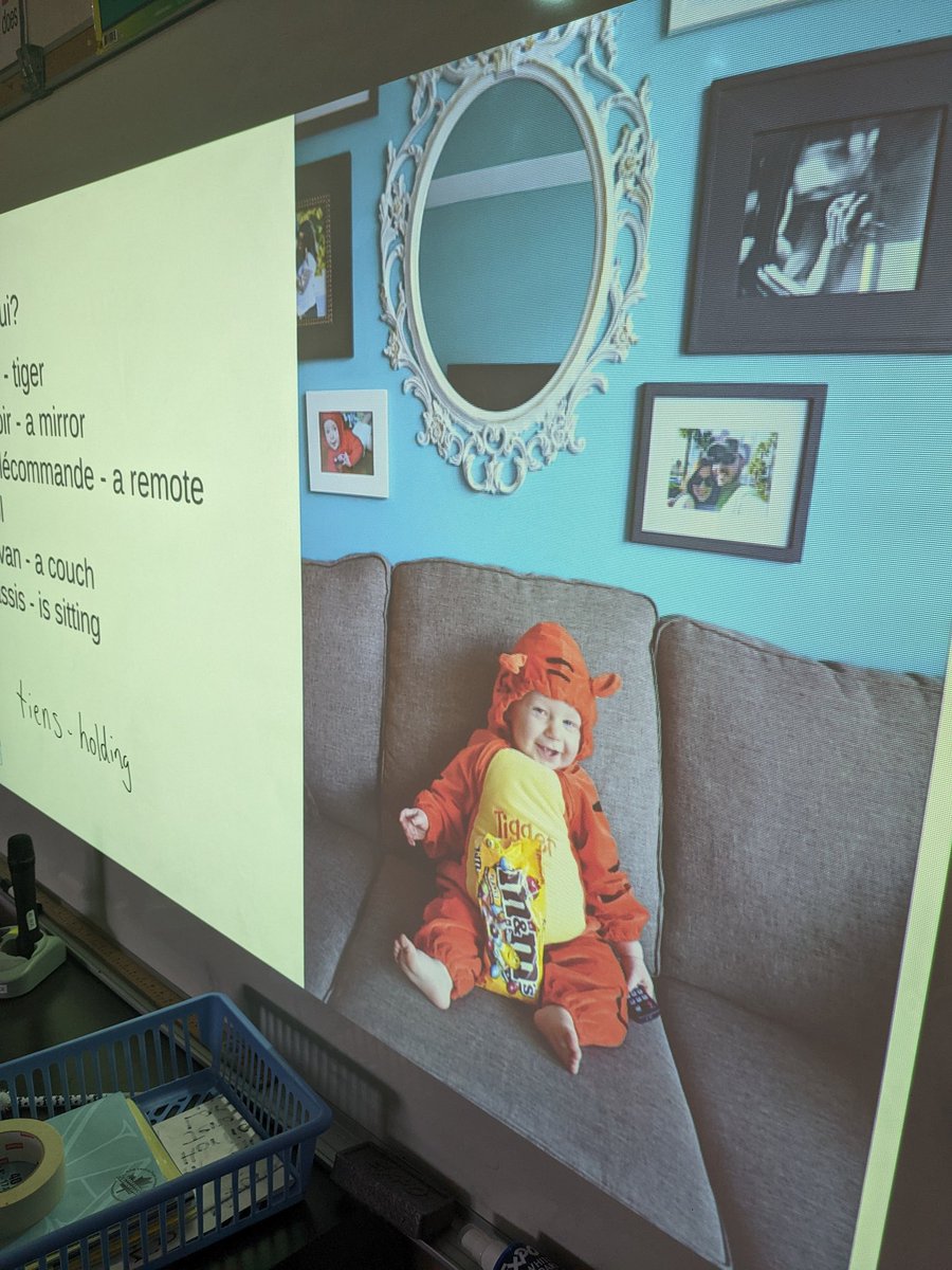 Mme_McGrath's tweet photo. On décrit un bébé avec un partenaire et on devine son identité! This daily #picturetalk has been an excellent way to get to know my students and have them engage in #langchat. Also, they were all adorable babies!
#GUAjoy @AngelsOCSB #ocsbFSL https://t.co/x42dB1NXCE