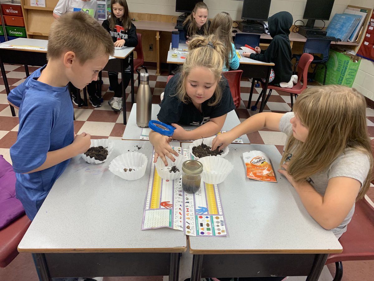 Shannon Taylor tweet media