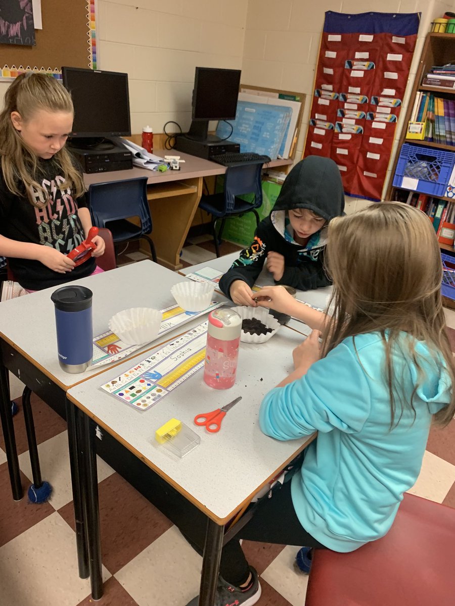 Shannon Taylor tweet media