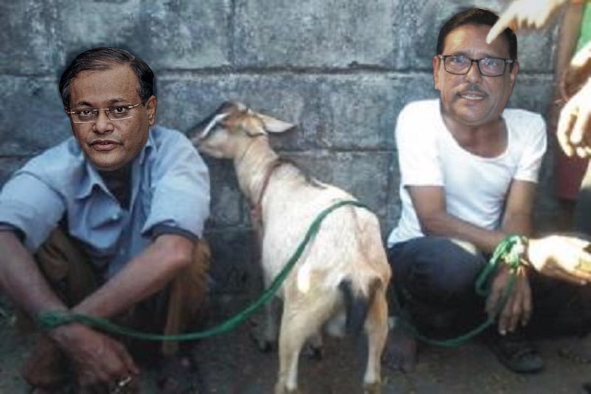 sajib2273's tweet photo. আওয়ামী কম্বল চোরের বংশধর এখন ছাগল চুরিতে🐐 https://t.co/JRgGkQWGXd