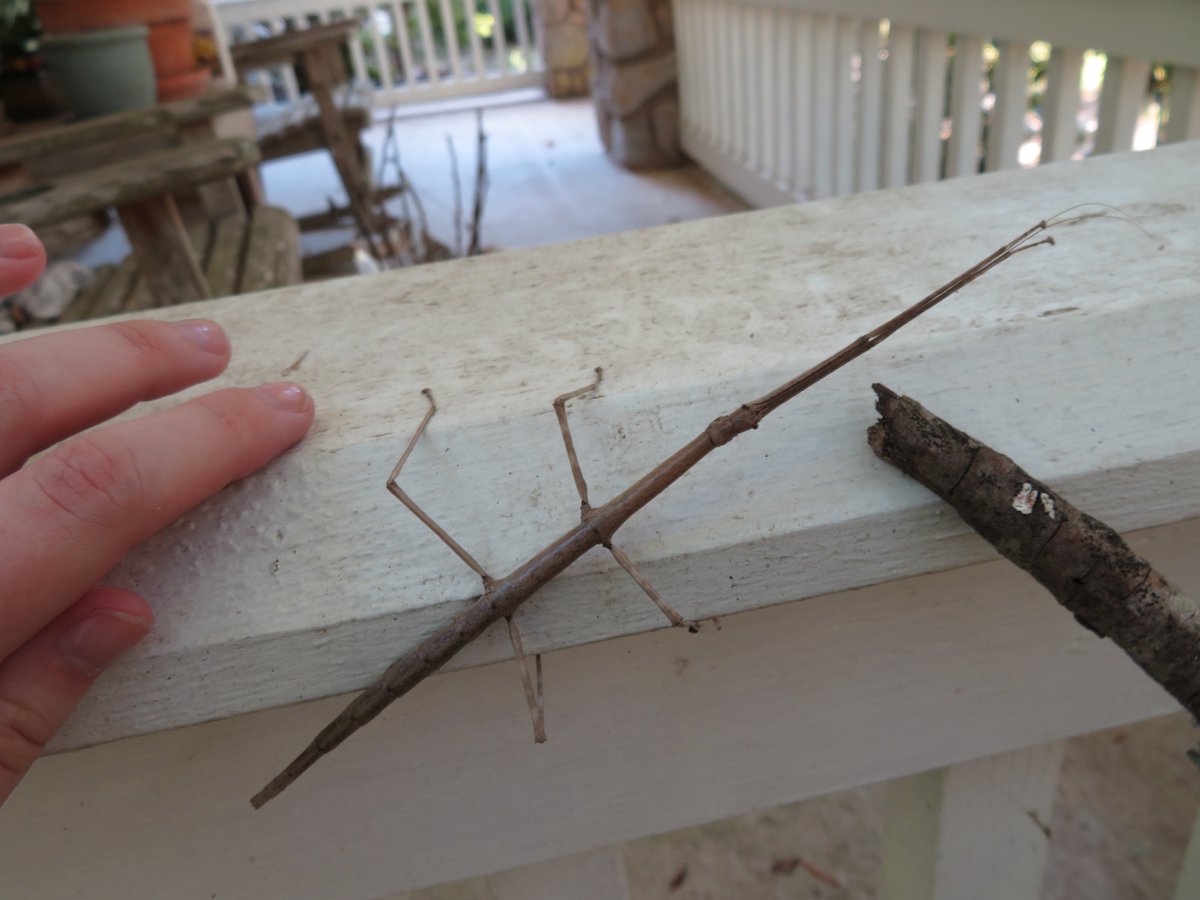 ⋆Kuu⋆ tweet media