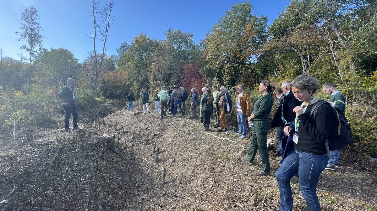Wurtz_Isabelle's tweet photo. Rencontres nationales #Foretdexception à #Verdun. Regards croisés 15 ans, 15 forêts labellisées #FODEX, « une richesse inestimable » pour @JonasVerain. In situ gouvernance innovante #ONF avec les acteurs du territoire. #aménagement entre #histoire et défis actuels @ONF_Officiel https://t.co/rQLAcpZcr8