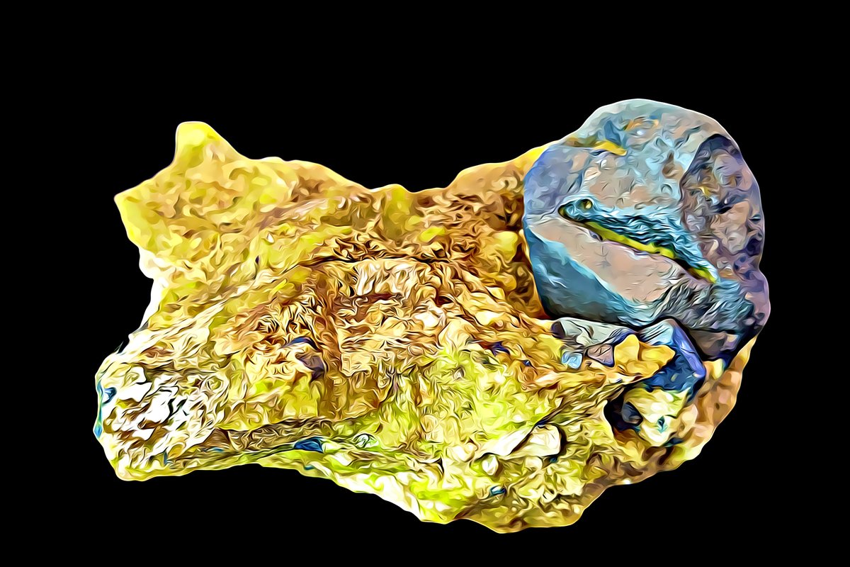 eCryptonite tweet media