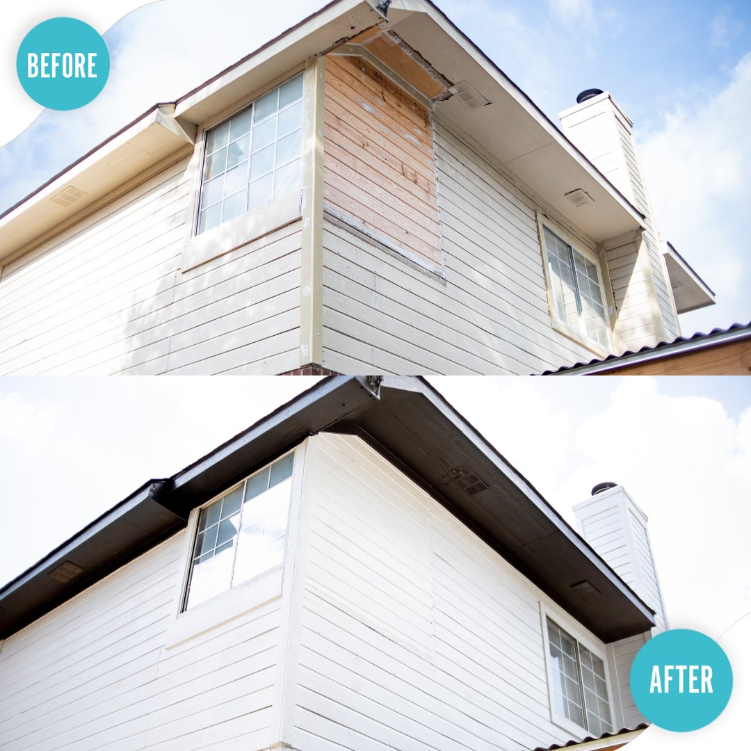 That 1 Painter tweet media