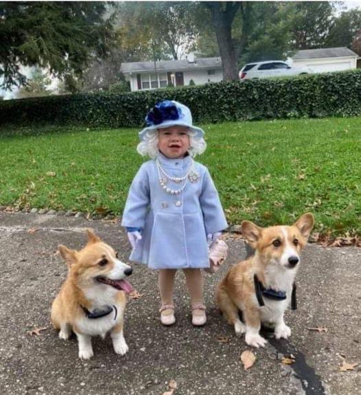 DrKellyrae's tweet photo. I vote 🗳 this the best costume of 2022. https://t.co/Nx5tvRZRe5