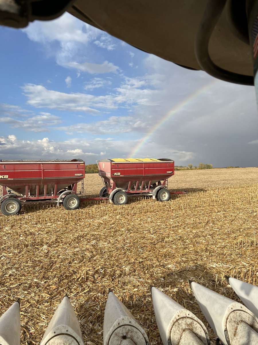 Shane Behrendsen tweet media