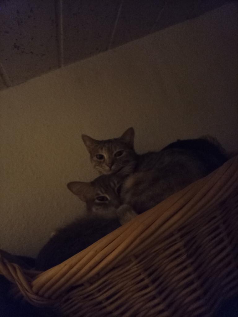 Last year December, almost one year ago, but I seldomly get them both together, so I just post them cuz I love 'em