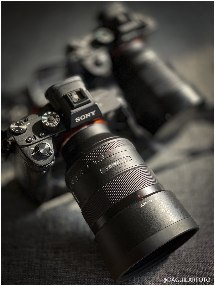 Belleza en enfoque y nitidez. Sony Lens 85mm f/1.4 #fotografia #portrait #SonyLens 😍 PIX📷DA