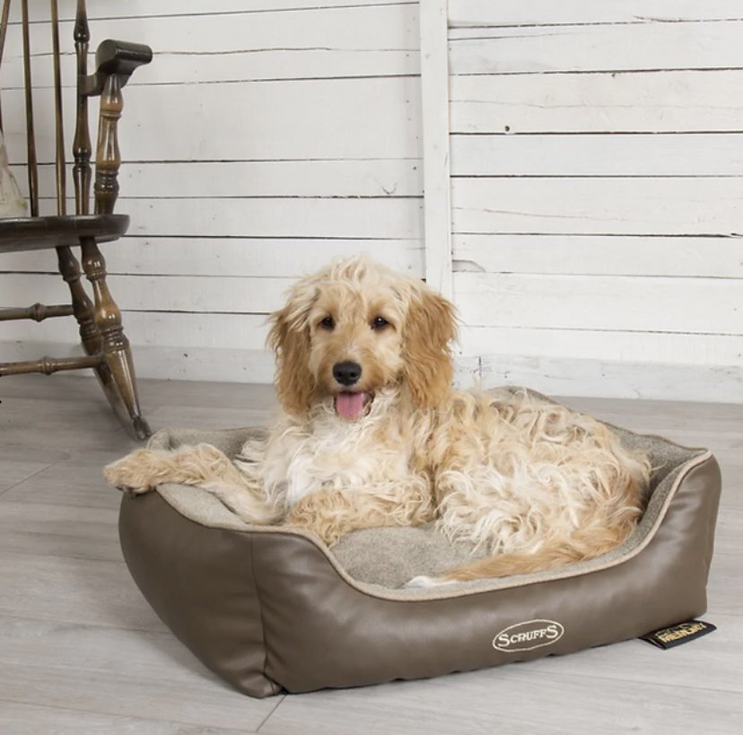 Shop for your pet at charltonisland.com with our selection of dog beds, dog lead holders and dog collars with free delivery plus 10% discount when you subscribe. 

#Dog 
#dogbeds 
#DogsOnTwitter