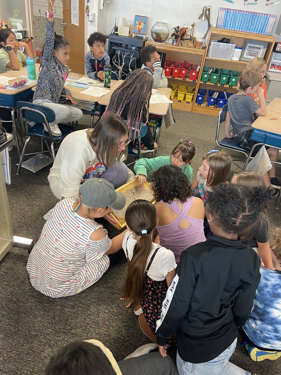 TheFortFalcons's tweet photo. 🗣Oh the power of guest speakers!Think we have any future bee keepers in this bunch? 🐝🍯 Today these 2nd graders expanded their knowledge of pollinators! What an awesome opportunity for these kids to learn from an expert bee keeper! #bpsne #bpsprojectstem https://t.co/hoU8oktFYT