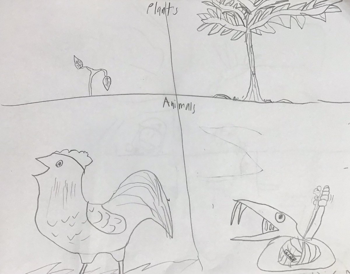 <a target='_blank' href='http://search.twitter.com/search?q=SketchbookDay'><a target='_blank' href='https://twitter.com/hashtag/SketchbookDay?src=hash'>#SketchbookDay</a></a>
Ss in third grade have been showing off their observational skills and creativity drawing self portraits, plants, and animals. They are loving the plastic animal! 🦜🦆🐈🦄🦉❤️🎨 <a target='_blank' href='http://twitter.com/APSCardinalElem'>@APSCardinalElem</a> <a target='_blank' href='http://twitter.com/SimmermanArt'>@SimmermanArt</a> <a target='_blank' href='http://twitter.com/K_Walleck'>@K_Walleck</a> <a target='_blank' href='https://t.co/egb02tQ1ic'>https://t.co/egb02tQ1ic</a>