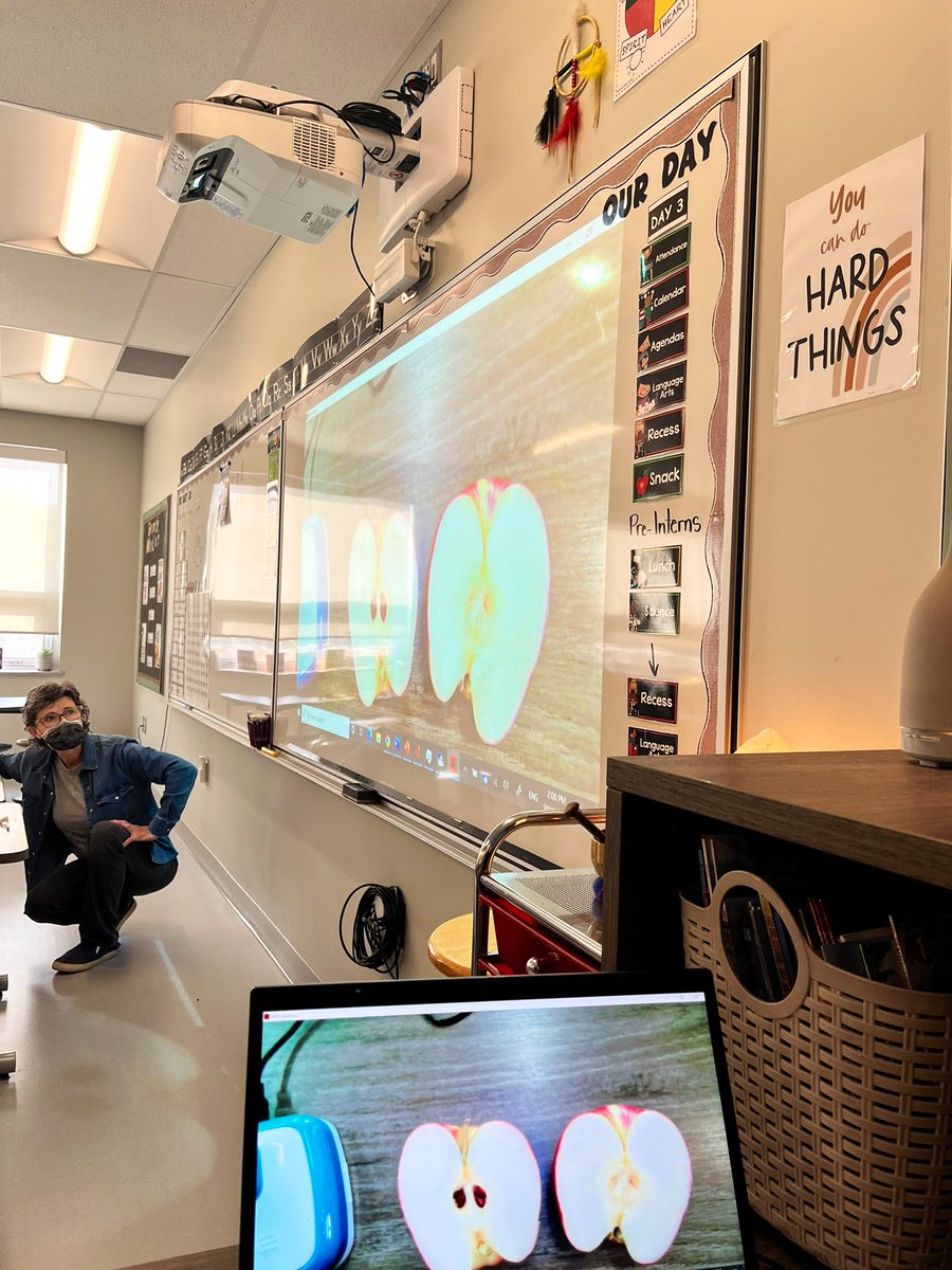 It was Apple day in grade 1/2!! 🍎 We loved using our 5 senses to explore these colourful apples! We also discovered that apples float! <a href="/Connaughtcomets/">Ecole Connaught</a> #science #HandsOnLearning #StudentEngagement