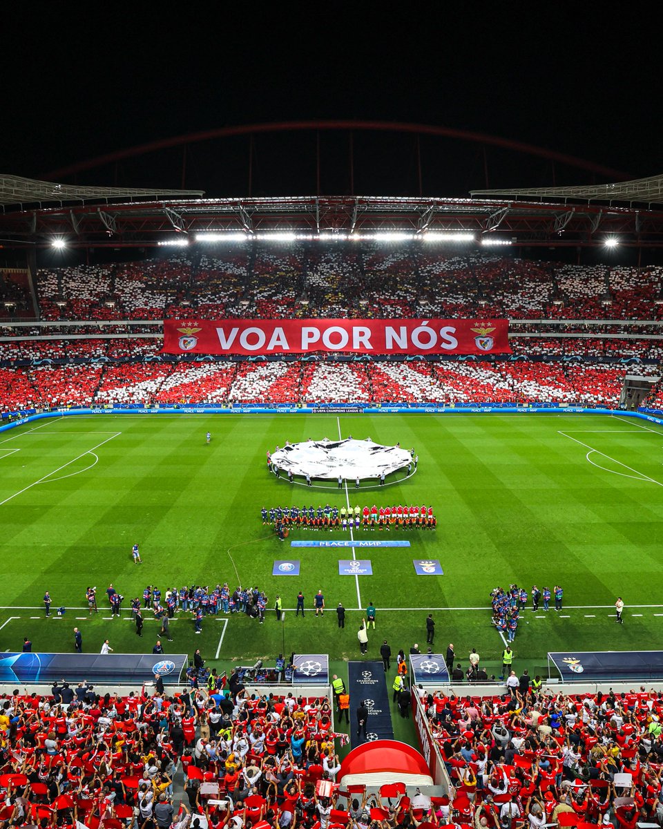 🙌 Que ambiente, 𝘽𝙚𝙣𝙛𝙞𝙦𝙪𝙞𝙨𝙩𝙖𝙨!

#EuAmoOBenfica #SLBPSG