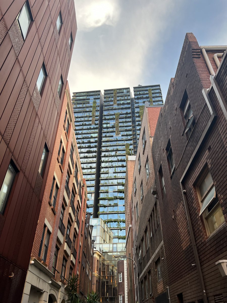 Gm from gloomy Sydney 🥲