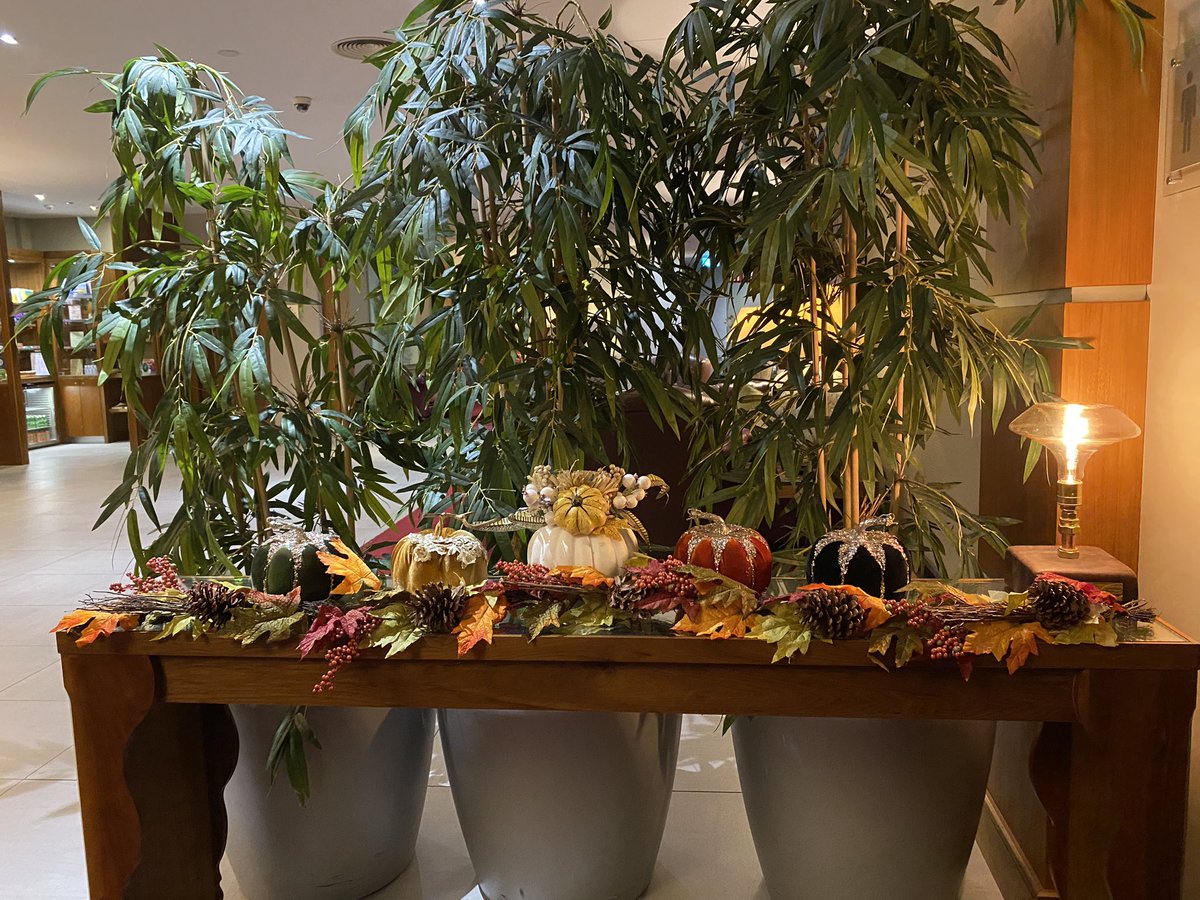 claddagh2000's tweet photo. Had a wonderful evening meal in the New Yorker Restaurant - Cork International Hotel last night. Delicious food and friendly staff - what more can one ask for on a rainy Autumn evening. Will definitely be back! Highly recommended. @No1CorkHotel @DiscoverIreland https://t.co/7xIAyNZFol