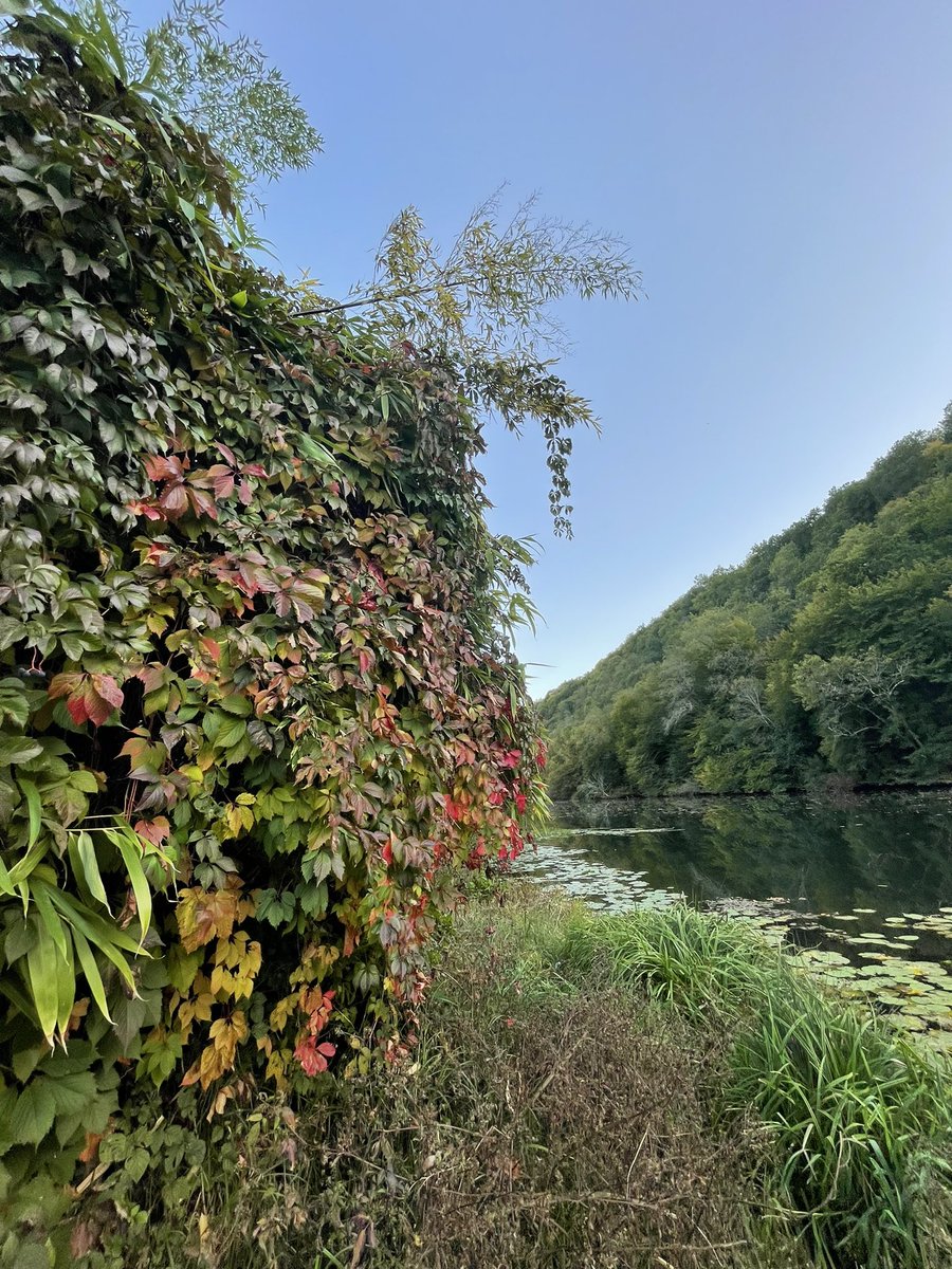 #river #afternoonwalk #tomewithfriends #naturelover 💚💚
