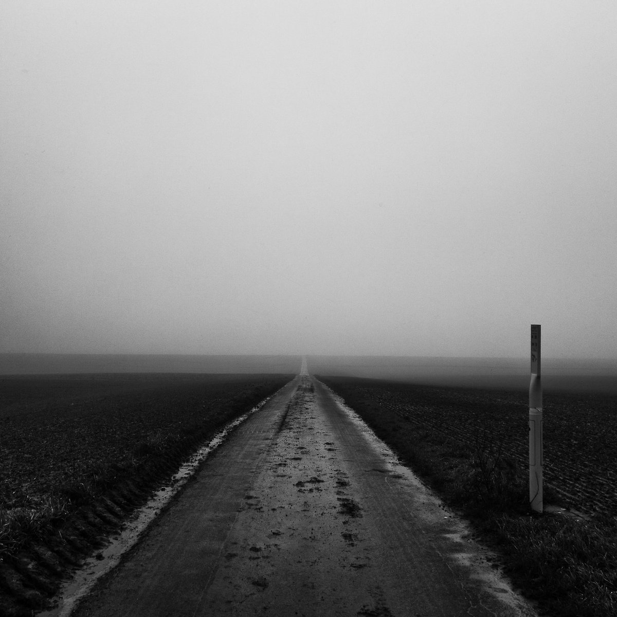 Archillect (@archillect) on Twitter photo 