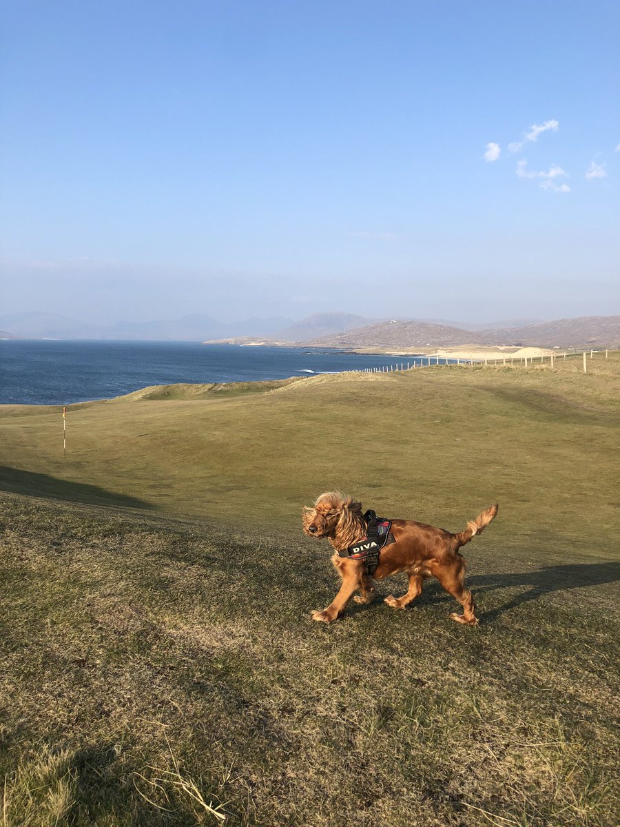 hotrod19710's tweet image. Our Bonnie loving life at @IsleGolf Isle of Harris