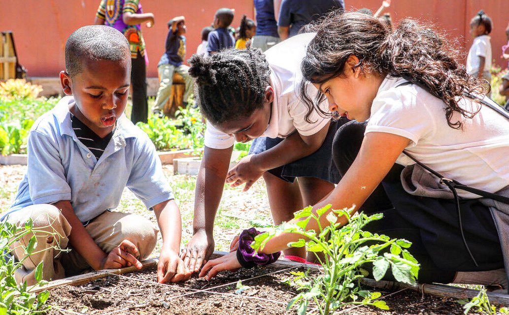 ReStoreOKC will receive a $45,000 grant from Kirkpatrick Foundation in support of programs at its five-acre Urban Farm which includes the addition of animals, environmental conservation, sustainability, and art.

  #restoreokc #urbanfarm #environmentalconservation #foundation