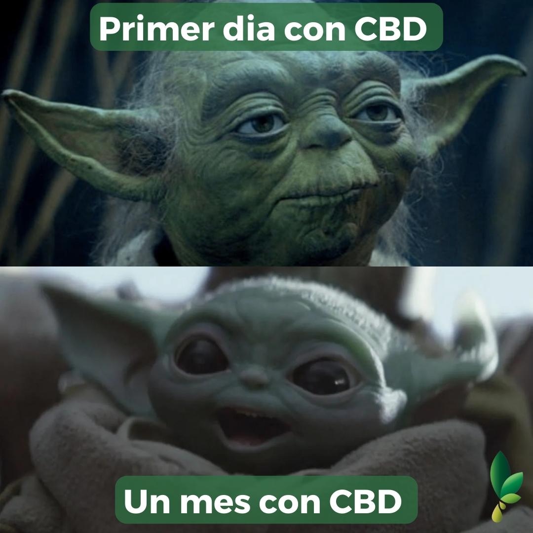 CanndidM's tweet photo. 🟢🌱 Aunque el cannabidiol no es un “milagro”, sí que parece ofrecer efectos beneficiosos en muchas personas que sufrían de estrés y ansiedad por su trabajo o estilo de vida.
#Cbd #Expocbd #Canndid #like #yoda https://t.co/WvJexhxpbf