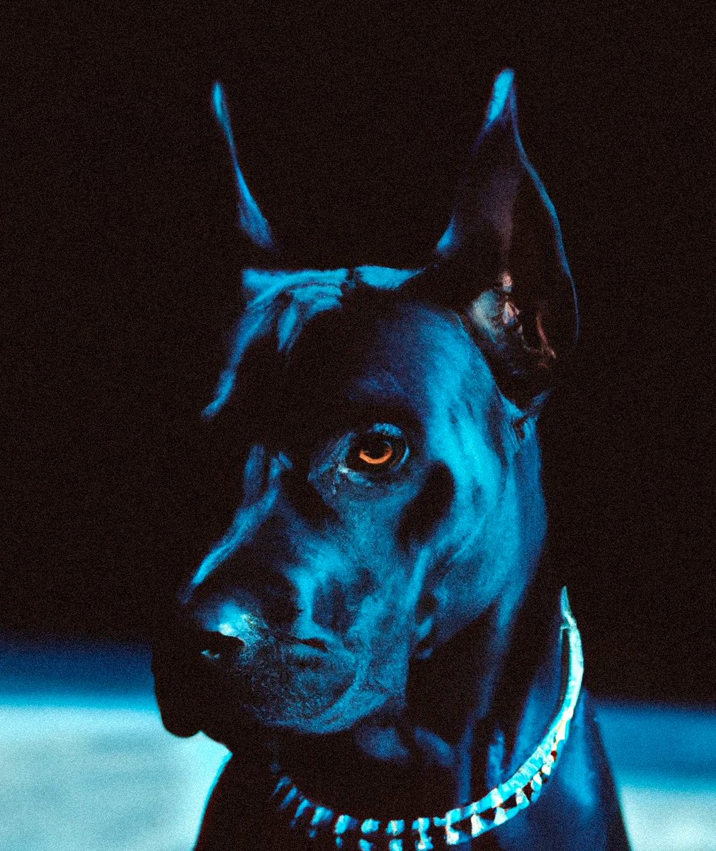 Proudly collected♥️

-"Wagmi 💖" by @felixlepeintre 
-"me" by <a href="/boring_dogo/">BoringDogo😵🐕</a> 

GN Fam♥️

#tezos #tezoscommunity #NFT #NFTCommunity