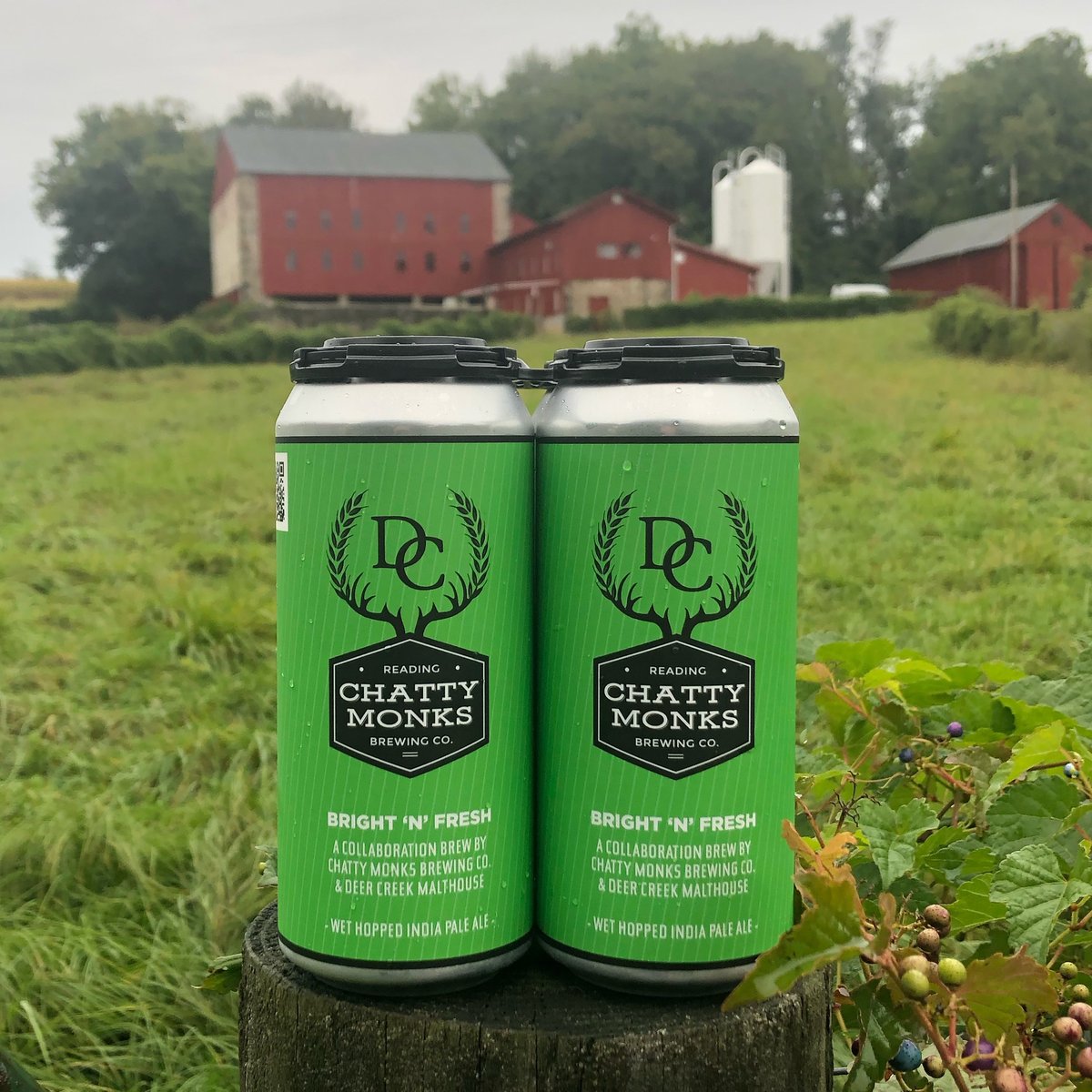 Chatty Monks collab Bright 'N' Fresh returns in all its wet hopped IPA glory! Think crisp flavor and mouthfeel plus copious amounts of GEMS Hop Farm Comet hops packing powerfully fresh notes of earthy citrus, all at 7.2% ABV. Order at loom.ly/hYv4v40. #pacraftmalt