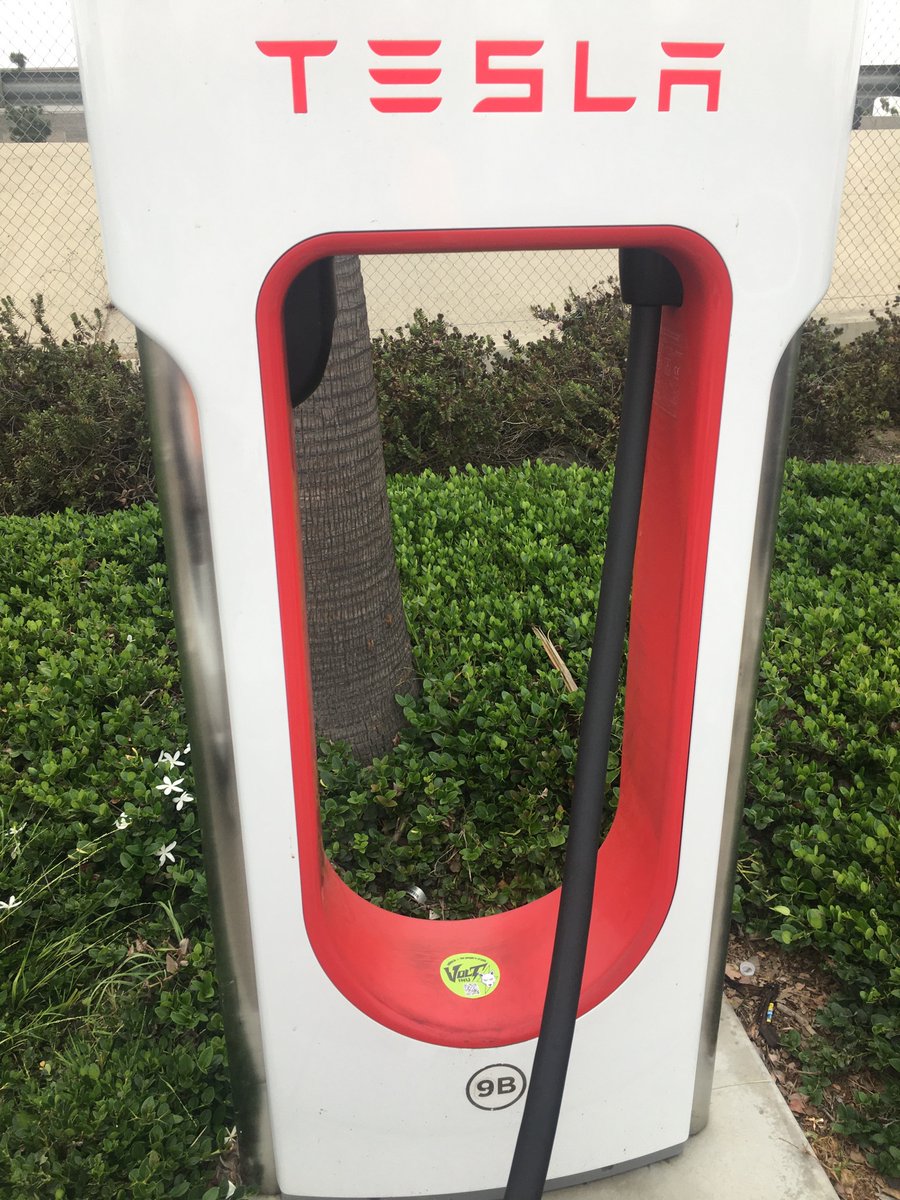 kryptochay's tweet photo. π¨β‘οΈπ’ EVEN Those Who Get Volted Routinely -Can STILL get VOLTED for the First Time! ππ€£β‘οΈβ‘οΈ @Tesla β‘οΈ
β‘οΈ @VoltInuOfficial β‘οΈ
β‘οΈ @VDSC_Official π₯π²
β‘οΈ @elonmusk β‘οΈ
#volt #voltinu #voltarmy #voltivation #paravoltic #volting #elon #bitcoin #bnb #eth #iykyv #fomv #hotd #nfa #dyor https://t.co/njb0mnrvzF