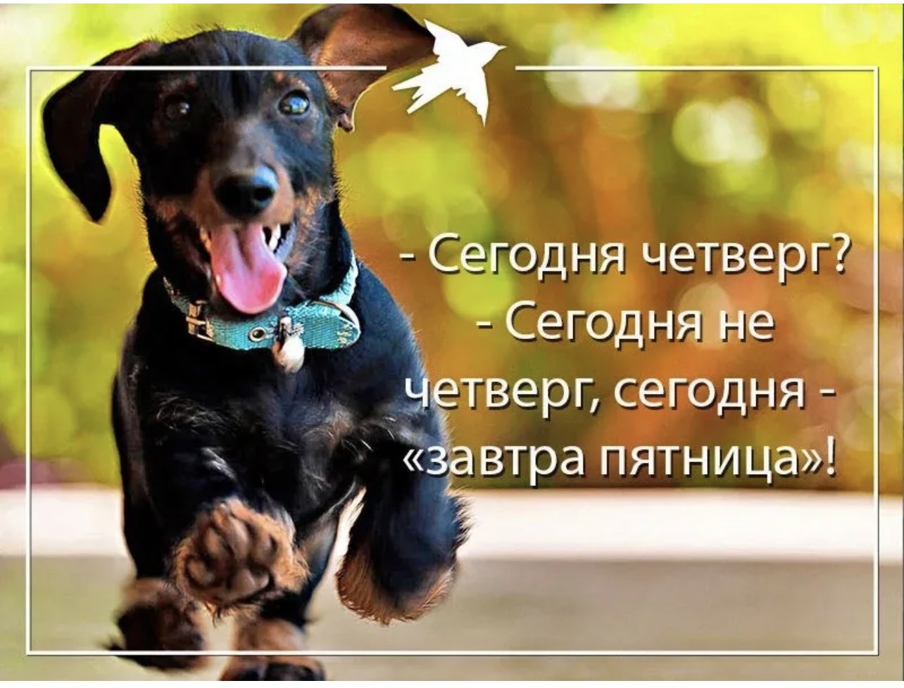 Уже четверг