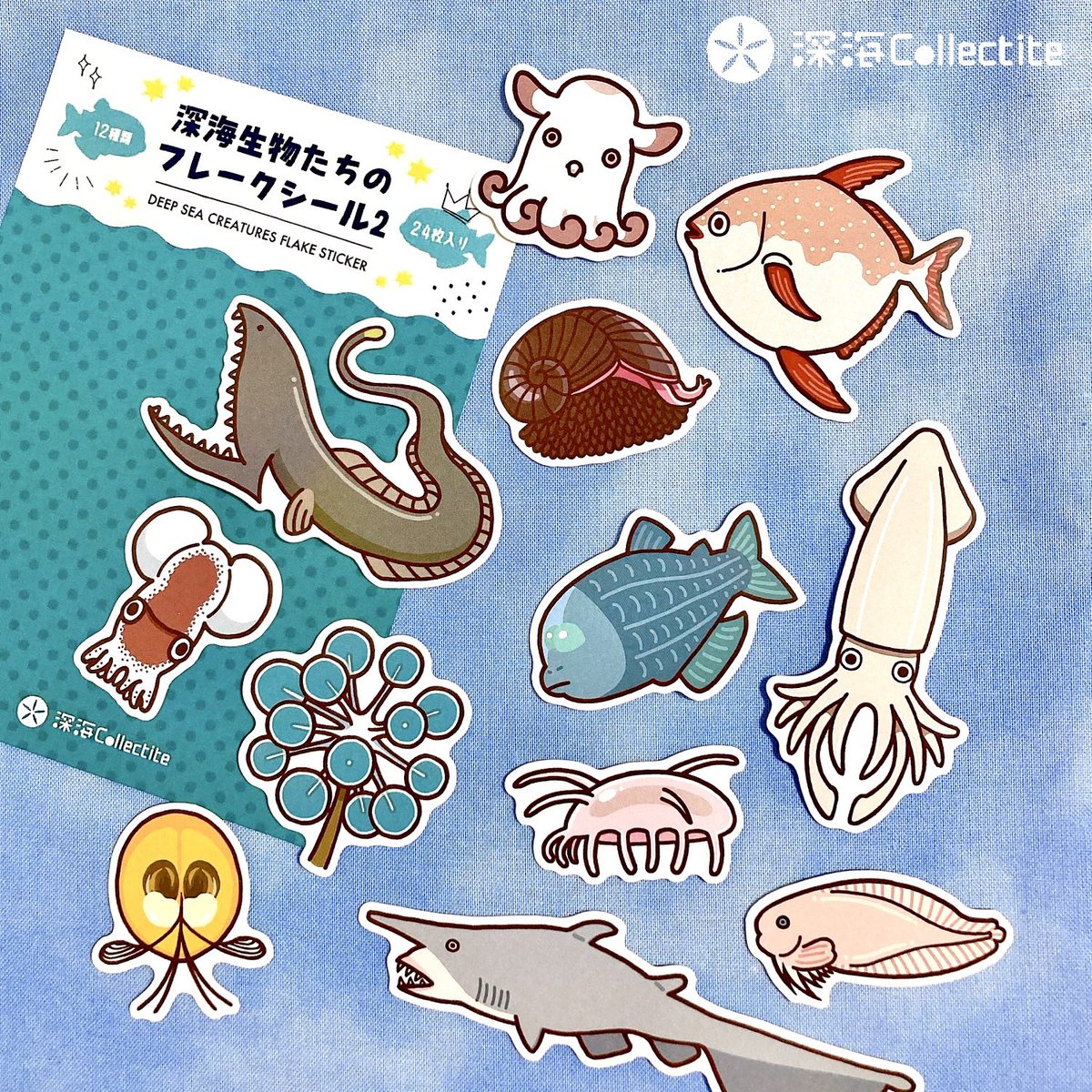 深海collectite コレクティット Kama Hiro2213 Twitter 深海collectite コレクティット Kama Hiro2213 Twitter