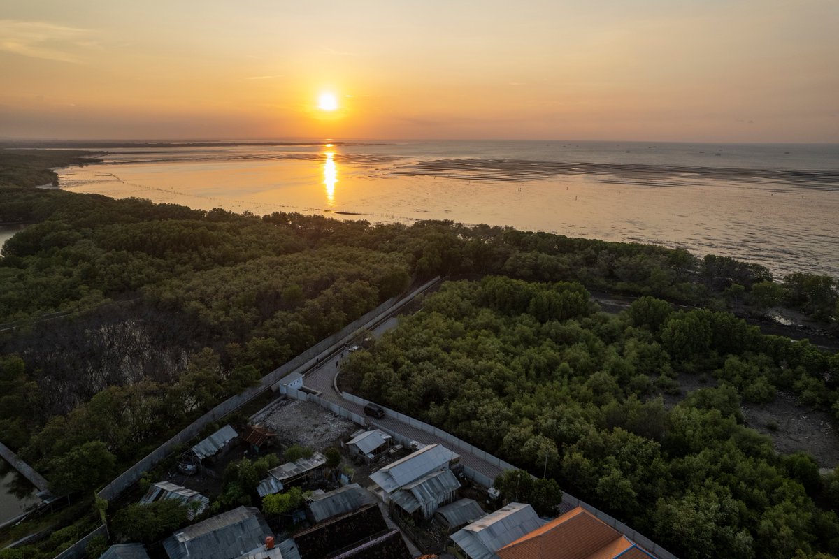 kombicapil's tweet photo. Sunset Kawasan Mayangan at Kampung Eco-Mangrove (eKomang) sukabumi #NSUP
#WeLoveProbolinggo & #WeLoveCities https://t.co/ZetoDF4OHL