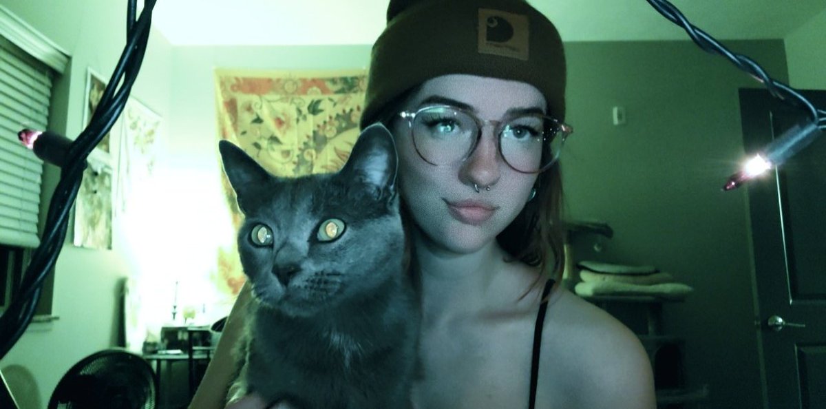 han_nah_emily's tweet photo. cyber kitty bff https://t.co/Xee5mZOJg7
