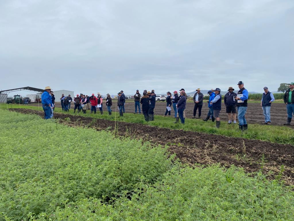 CortevaAUS's tweet photo. The Breeza Field Station Spring Walk was held today showing our demonstration trials for 2022 @DanDixon_Ag @JackMadgwick @JonDadd_Ag @KochNick https://t.co/sIwX5GzoNL