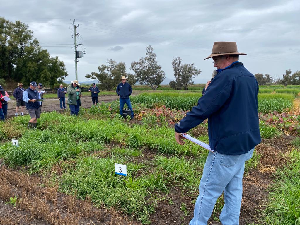 CortevaAUS's tweet photo. The Breeza Field Station Spring Walk was held today showing our demonstration trials for 2022 @DanDixon_Ag @JackMadgwick @JonDadd_Ag @KochNick https://t.co/sIwX5GzoNL