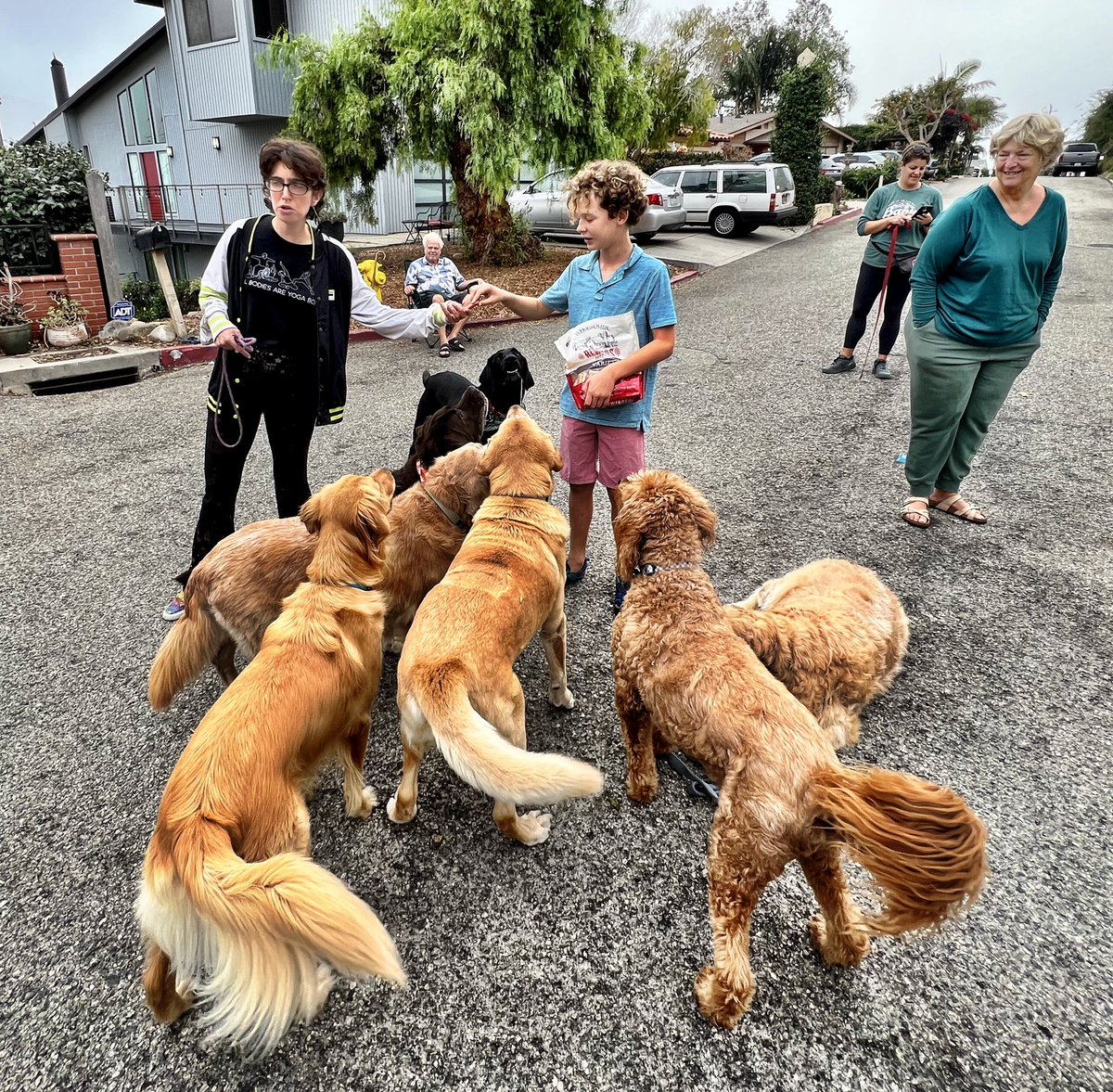 producergirl's tweet photo. There is a bag of dog treats on my kitchen table like a bag of chips in any other house… #pupclub https://t.co/0PRxYtvgNQ