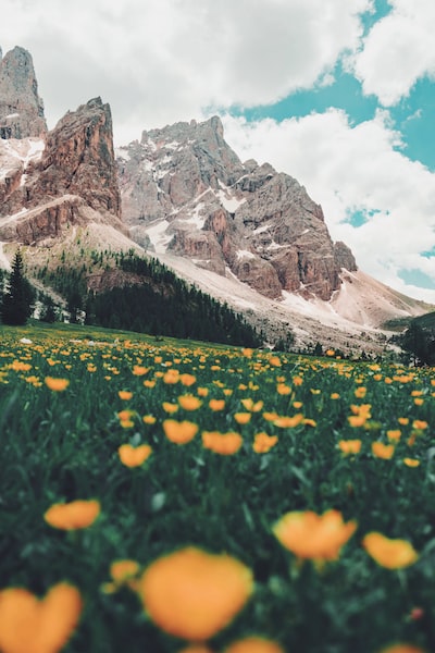 📌Rolle Pass, Italy 📷@Damibaschiera  #nature #hourlyNature #nomaddream #wonderlust #travel