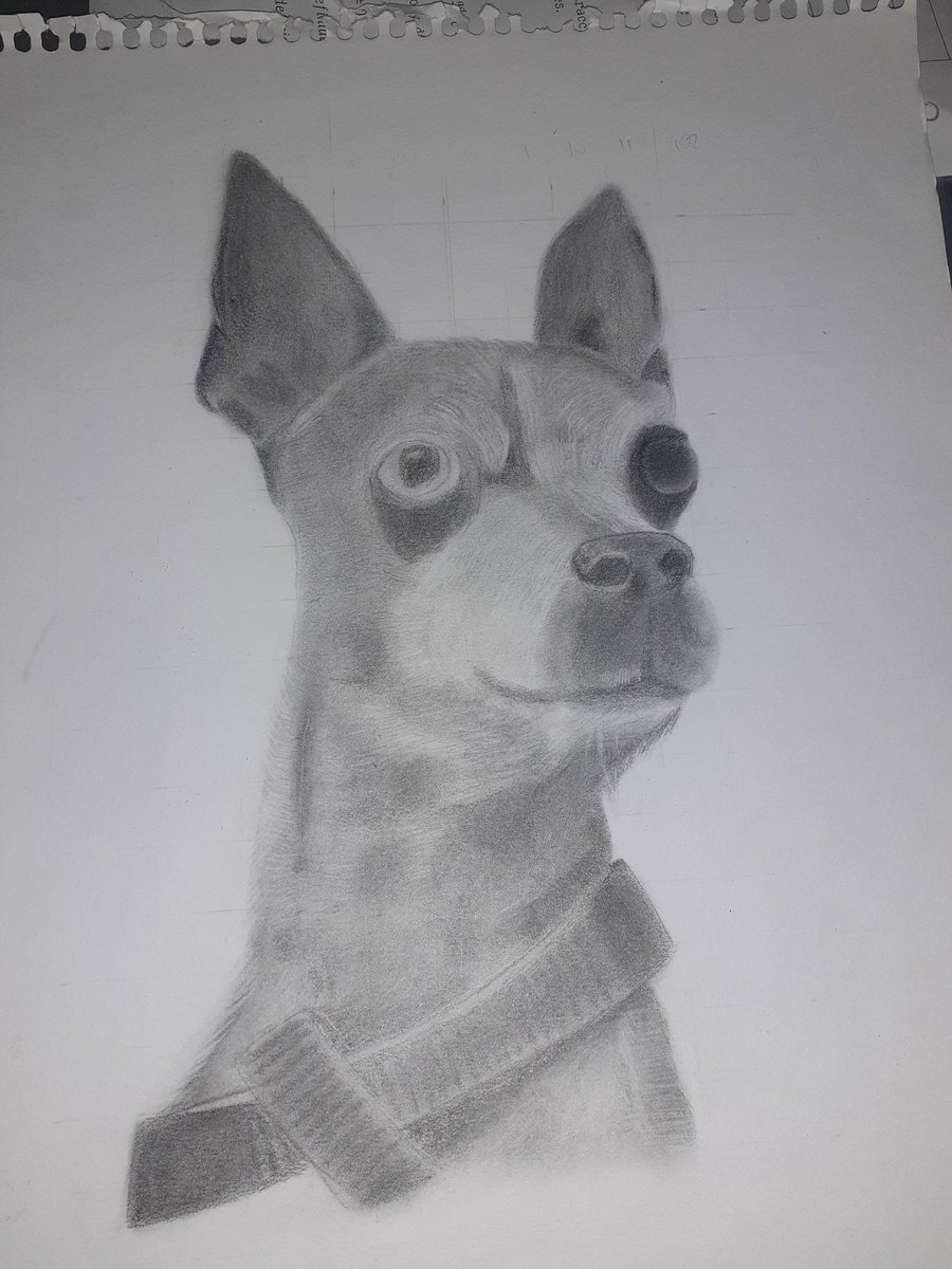 enyjjssh's tweet image. Actu del perro que me encargaron dibujar