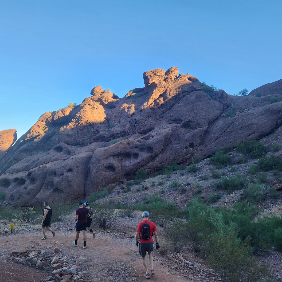 biologistzack's tweet photo. Goodbye Phoenix and goodbye #ots22 what a great conference. Lots of exciting science to digest!! https://t.co/86JowbzqeJ