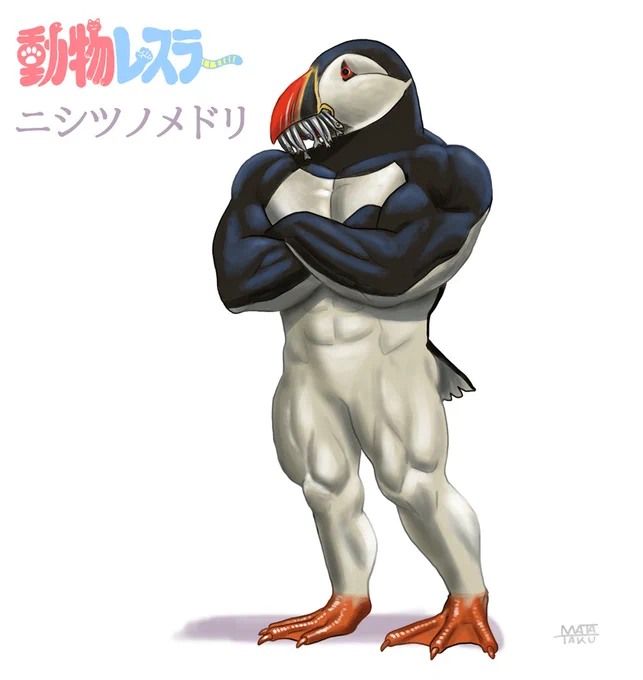 ニシツノメドリ。#動物レスラー 