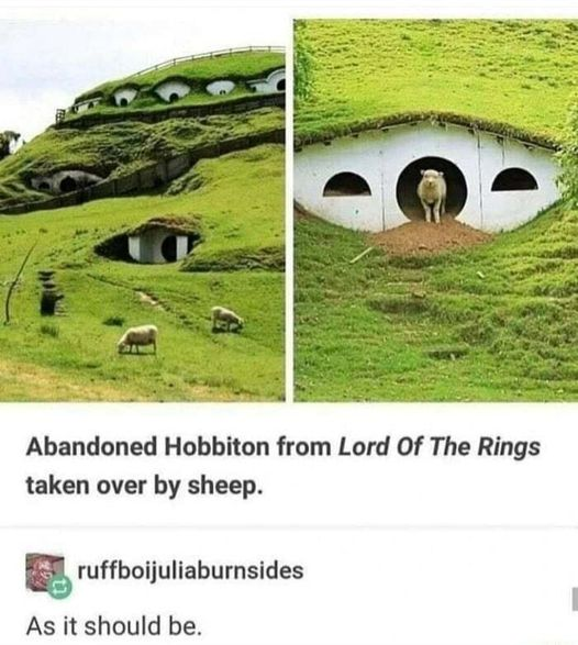 WholesomeMeme's tweet photo. https://t.co/dHTdCEuGKf