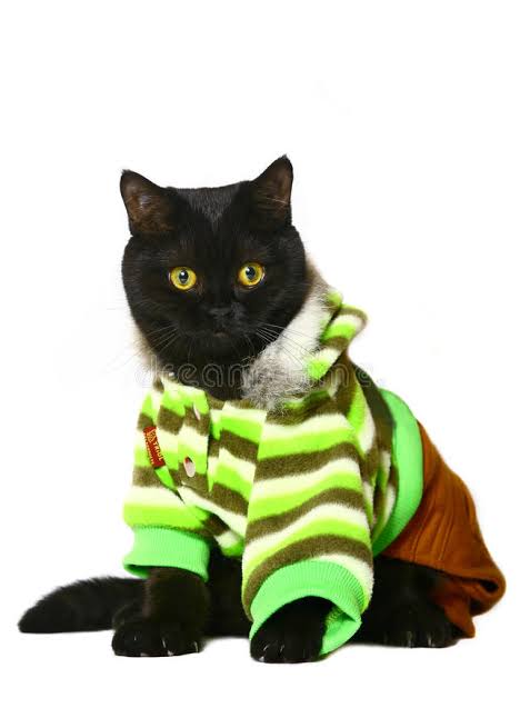 ✨DINÁMICA✨
💅
🤩
⭐#LindaStar⭐️
❤️
🎁
👇
❤️Regresando❤️

<a href="/marielalaleona/">Mariela A. Santacruz</a>
 
<a href="/didierpatience/">Didier Calderón</a>
 
<a href="/BenedictoLozano/">Benedicto Lozano Gir</a>
 
<a href="/tapizero_42/">Piter Guzmán 🇲🇽 ☠️</a>

@canelaverdemiel
 
<a href="/JormerMx/">Jorge Mercado</a>

<a href="/aneligarova65/">Ana Elizabeth García</a>
 
<a href="/saulChvezramn1/">mariner2 #TSha</a>

<a href="/vende_avon/">vendedoras Avon</a>
<a href="/Amaury66136825/">Amaury</a>
<a href="/ANGELICAMYS/">ANGELICA M GUTIERREZ</a>
<a href="/Luccy_007/">Lucy</a>
<a href="/MiSsNiKitaMx/">Nikita</a>
<a href="/Mar_Sol_60/">Mar_Sol</a>