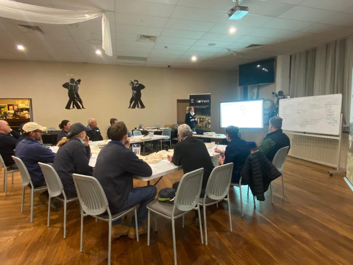 AWIExtensionNSW's tweet photo. Today, we are delivering a #SimpliFly workshop at Canowindra. Plenty of ideal conditions for flies to ‘do their thing’ in flocks.
Thanks to Wendy Gill of @Achieveagco for delivering this workshop on behalf of @woolinnovation Sheep Connect NSW. https://t.co/zmxlHNCA0m
