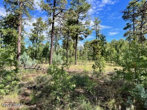 SaraReidhead's tweet photo. See a virtual tour of my newest #listing 900V E Rim Road #Pinetop #AZ  https://t.co/7Kkk1IPcuR https://t.co/LQPwoftZ7o