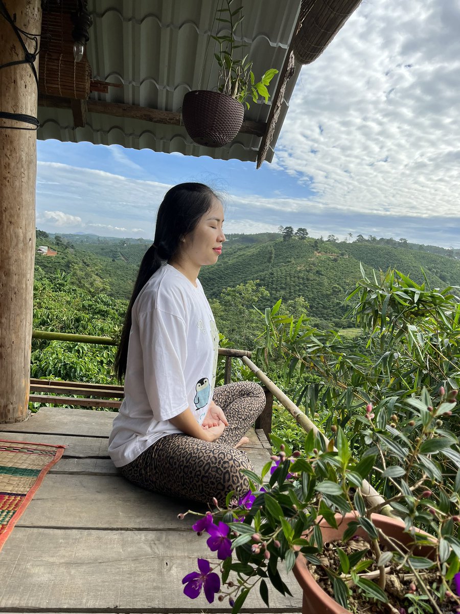 KimthoaTong's tweet photo. peace in the midst of market volatility https://t.co/BvgG4y3Aj7