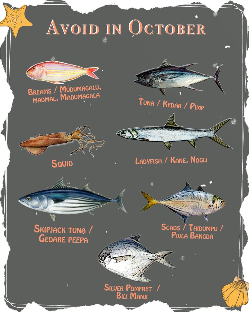 Know Your Fish tweet media