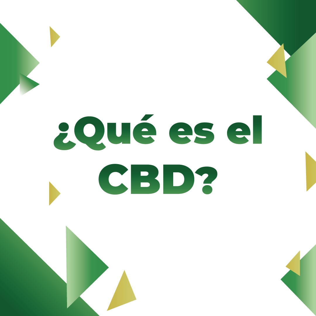 expocbdmx's tweet photo. 🟢🌱El CBD o cannabidiol es uno de los compuestos de la planta Cannabis Sativa y sirve para aliviar el dolor muscular, entre otras propiedades.

💚 Algunas de sus Propiedades terapéuticas del cannabidiol son :
Analgésica. ...
Ansiolítica. ...
Neuroprotectora. ...

#ExpoCBD #CBD https://t.co/PGpQbYB10R