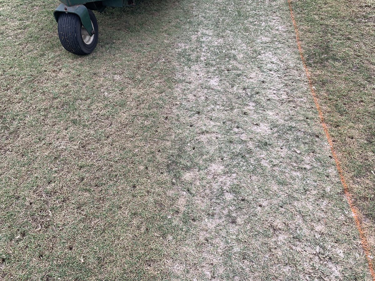 Top dressing some weak areas and fairway/rough lines on Hole 5 today. Setting was 2 on the Conveyor Brush. I really like the spread. Might go a little heavier on thin spots. Tees tomorrow morning!